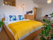 Pronájem bytu 1+1, Praha - Žižkov, Baranova, 35 m2