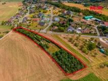 Prodej pozemku pro bydlení, Tmaň - Lounín, 4059 m2