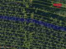 Prodej lesa, Břežany, 4230 m2
