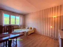 Prodej bytu 1+1, Kraslice, Čs. armády, 37 m2