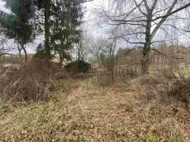 Dražba pozemku pro bydlení, Dolní Bukovsko, 1427 m2