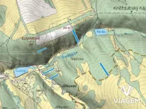 Prodej lesa, Kněždub, 3980 m2