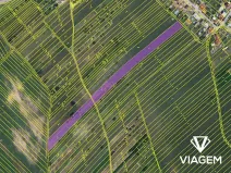 Prodej podílu sadu/vinice, Hrušky, 321 m2