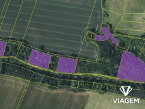 Prodej lesa, Katusice, 6304 m2