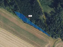 Dražba lesa, Městečko Trnávka, 1919 m2