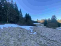 Prodej pole, Železná Ruda, 2377 m2