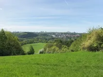 Prodej podílu louky, Praha - Nebušice, U Gabrielky, 24023 m2