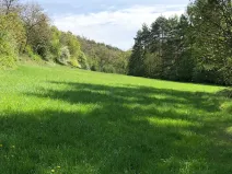 Prodej podílu louky, Praha - Nebušice, U Gabrielky, 24023 m2