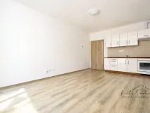 Pronájem bytu 1+kk, Olomouc, Frištenského, 32 m2