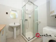 Pronájem bytu 1+kk, Praha - Vinohrady, Fričova, 32 m2