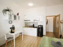 Pronájem bytu 1+kk, Brno, Vlhká, 21 m2