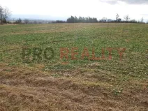 Prodej pozemku pro bydlení, Velké Albrechtice, 1041 m2