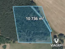 Prodej podílu lesa, Uhlířská Lhota, 2684 m2