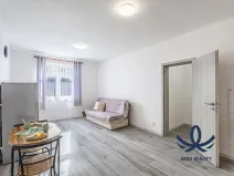 Pronájem bytu 1+1, Milovice, Slepá, 32 m2