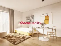 Prodej bytu 1+kk, Olomouc, Okružní, 30 m2