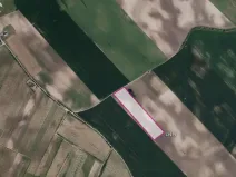 Prodej pole, Mutěnice, 26029 m2