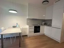 Pronájem bytu 1+kk, Praha - Kamýk, Hodkovická, 35 m2