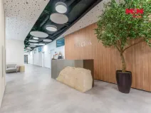 Pronájem komerční nemovitosti, Praha, Jihlavská, 25 m2