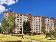 Prodej bytu 2+1, Mladá Boleslav, Na Radouči, 55 m2
