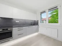 Pronájem bytu 2+kk, Ostrov, Halasova, 55 m2
