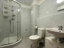 Pronájem bytu 1+kk, Milovice, Armádní, 24 m2