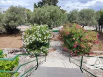 Prodej rodinného domu, Supetar, Chorvatsko, 300 m2