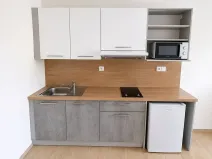 Pronájem bytu 1+kk, Syrovice, 28 m2