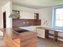 Pronájem bytu 4+kk, Chomutov, Dostojevského, 155 m2