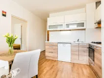 Prodej bytu 1+1, Brno, Horácké náměstí, 45 m2