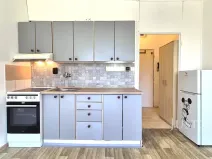 Pronájem bytu 1+kk, Písek, 17. listopadu, 19 m2