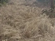 Prodej pozemku, Dolní Hořice, 2534 m2