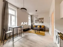 Pronájem bytu 1+kk, Praha - Karlín, Urxova, 30 m2