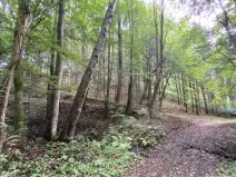 Prodej louky, Strážná, 212 m2