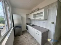 Prodej bytu 2+1, Cheb, Lesní, 53 m2