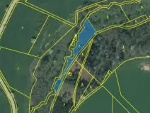 Prodej lesa, Dolní Hořice, 2471 m2