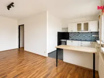 Prodej bytu 2+1, Bílina - Pražské Předměstí, Aléská, 48 m2