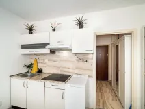 Pronájem bytu 1+kk, Praha, Štúrova, 20 m2