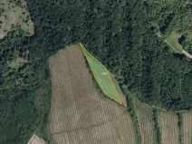 Prodej sadu/vinice, Kobylí, 23542 m2