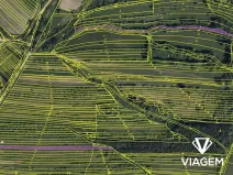 Prodej podílu pole, Velká nad Veličkou, 821 m2