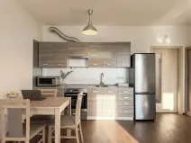 Pronájem bytu 1+kk, Praha - Žižkov, Olšanská, 35 m2