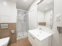 Pronájem bytu 1+kk, Praha - Žižkov, Olšanská, 35 m2