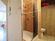 Pronájem bytu 1+kk, Sokolov, Marie Majerové, 20 m2