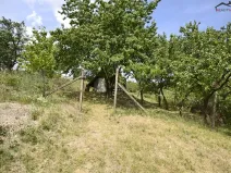 Prodej sadu/vinice, Bzenec, 2460 m2