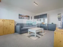 Pronájem bytu 1+1, Ostrava, Resslova, 29 m2