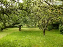 Prodej chalupy, Supíkovice, 130 m2