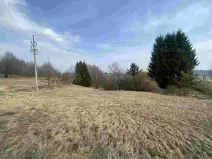 Dražba pozemku pro bydlení, Nové Hrady, 2407 m2