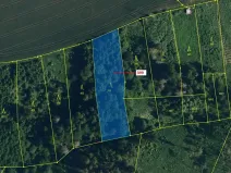 Dražba lesa, Chotěbudice, 2054 m2