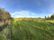 Prodej pozemku, Uherské Hradiště, Vinohradská, 2877 m2