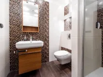 Pronájem bytu 1+kk, Plzeň, Kardinála Berana, 32 m2