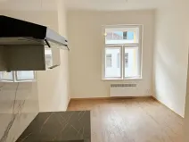 Pronájem bytu 1+kk, Praha - Smíchov, Rozkošného, 16 m2